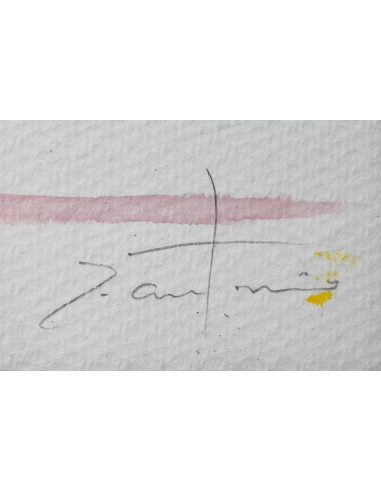 José Antonio Borrás: Seise Corpus Christi