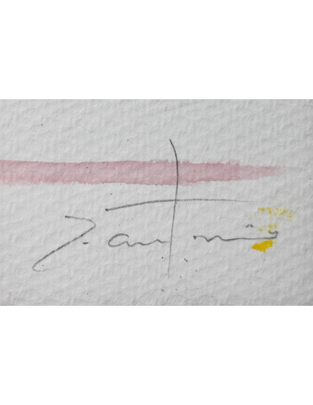 José Antonio Borrás: Seise Corpus Christi