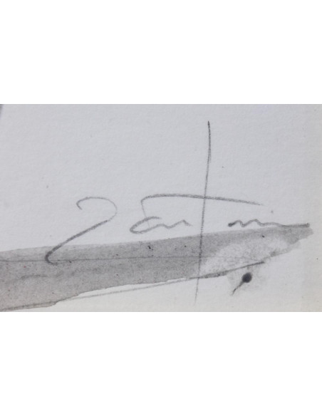 José Antonio Borrás: Seise Corpus Christi