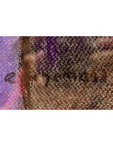 Carmen Schamann: Ensoñación VI