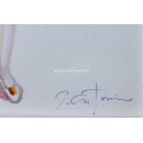 Seise Corpus Christi