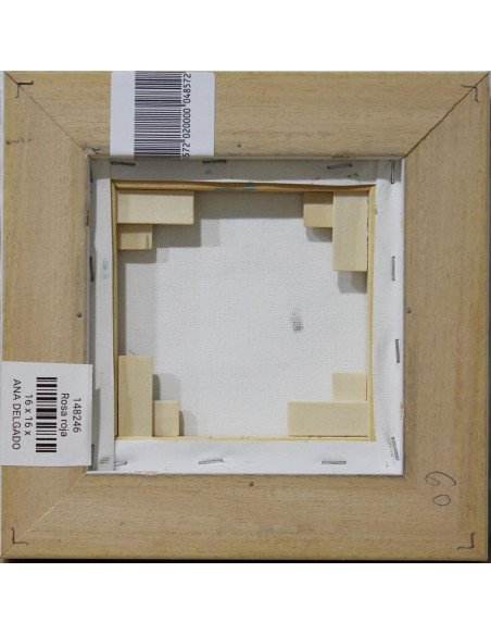 Ana Delgado: Red rose