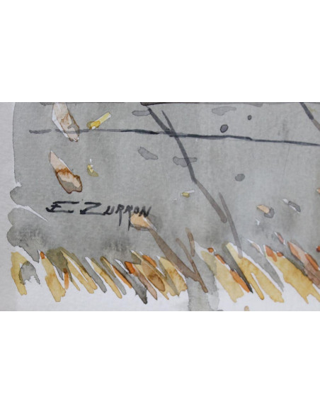 Emilio Zurrón: Playing bull