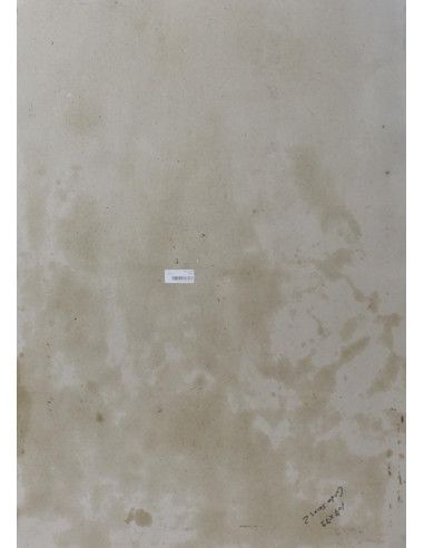 Cardos | Cuadro al óleo de Ana Delgado