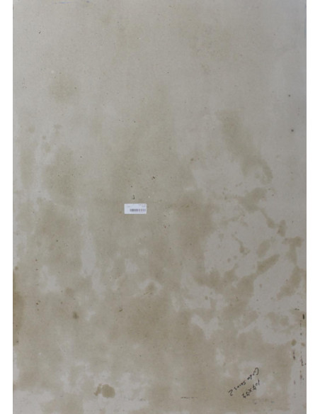 Cardos | Cuadro al óleo de Ana Delgado