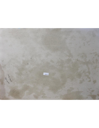 Ana Delgado: Thistles