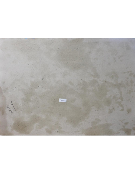 Cardos | Cuadro al óleo de Ana Delgado