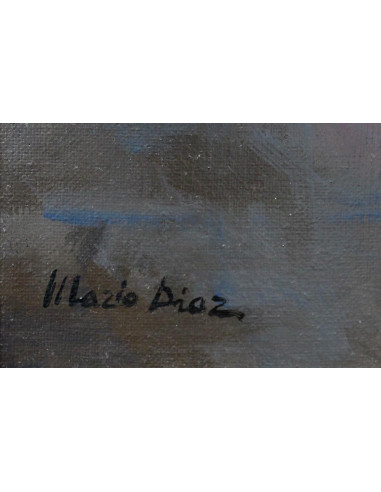 Caballo cartujano | Cuadro al óleo de Mario Díaz