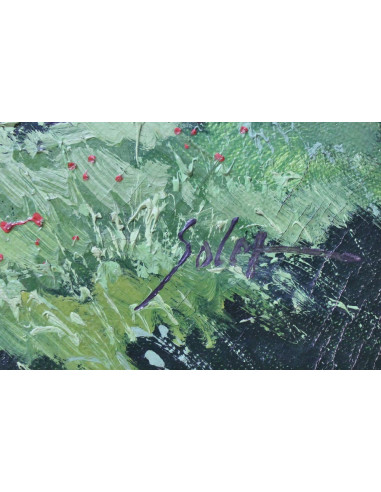 Soler: Landscape