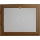 Marina (reproduction)