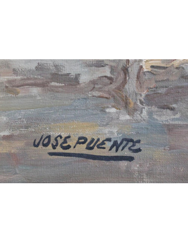 José Puente: Bulls fighting