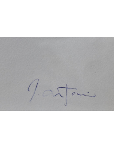 Seise Inmaculada | Cuadro al óleo de José Antonio Borrás