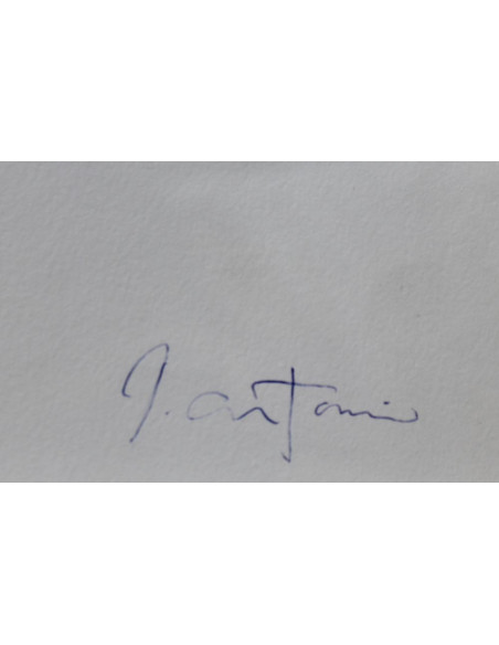 José Antonio Borrás: Seise Immaculate