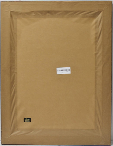 Aurora Gallego: Bullfighter