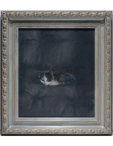 Gato | Cuadro al óleo de Benito Moreno