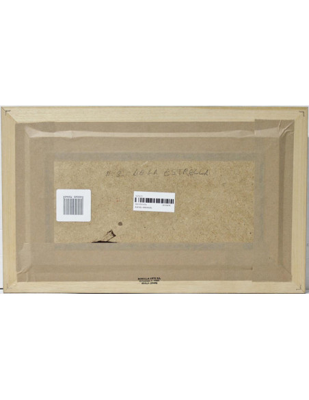 Arkángel: Ojos Estrella (Star Eyes)