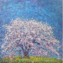 The Cherry Tree