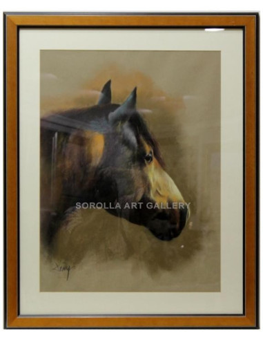 Domingo: Horse Head
